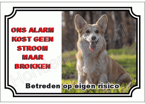 Bord met eigen foto, tekst of ontwerp.