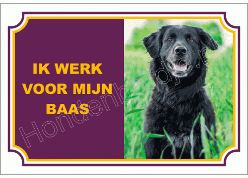 Bord met eigen foto, tekst of ontwerp.