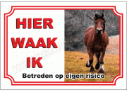Belgisch paard