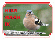 Vink