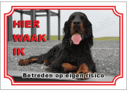 Gordon setter