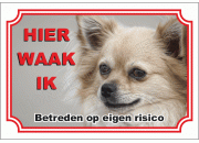 Kleine keeshond _ Pomeriaan