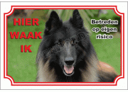 Belgische herdershond, tervuerense