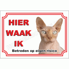 Chinese naakt kat