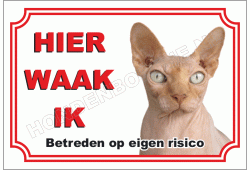 Chinese naakt kat