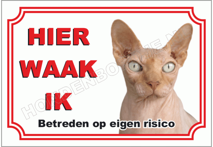 Chinese naakt kat