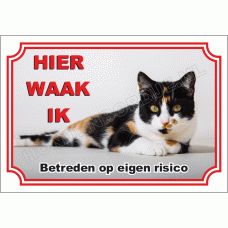 Lapjes kat