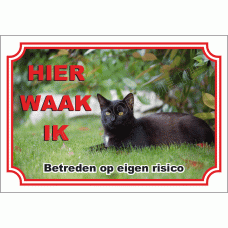 Zwarte huis kat