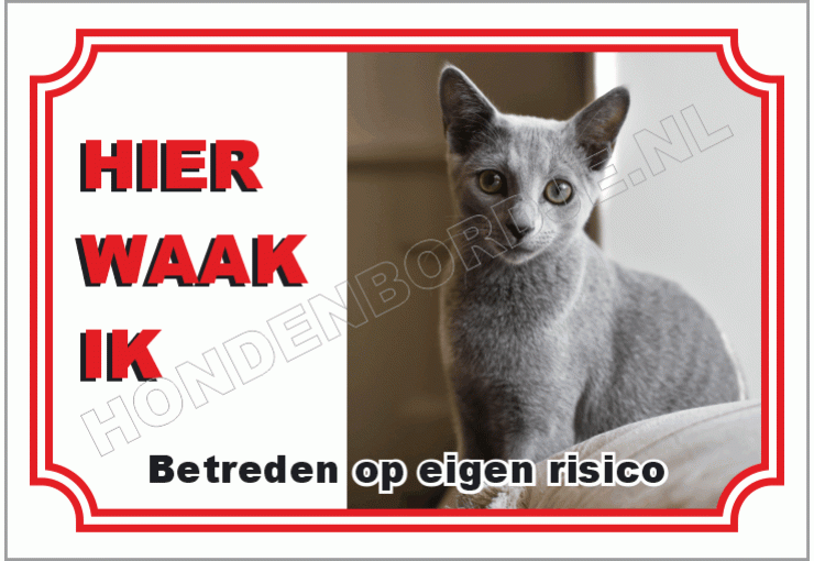 Blauwe Rus