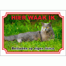 Chartreux