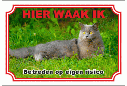 Chartreux