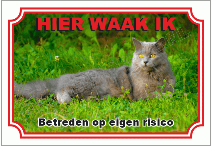 Chartreux