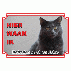 Chartreux