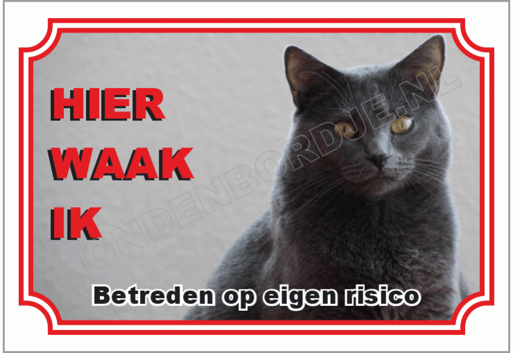 Chartreux