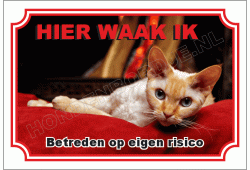 Devon Rex