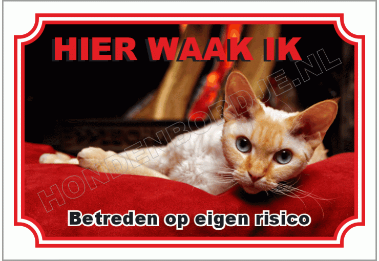Devon Rex