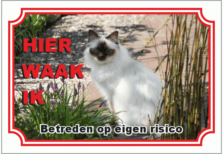 Heilige Birmaan