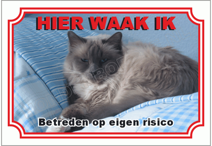 Heilige Birmaan