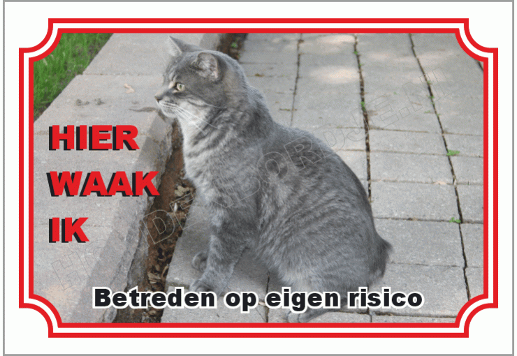 Manx