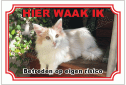 Noorse Boskat