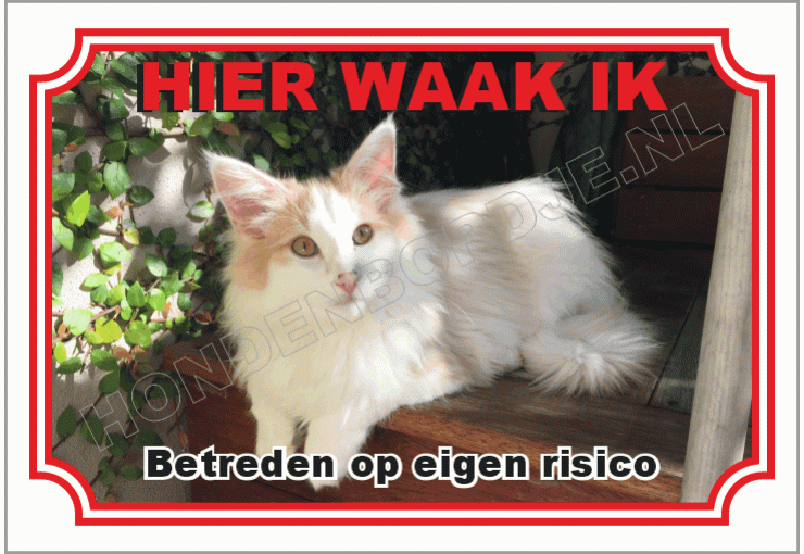 Noorse Boskat