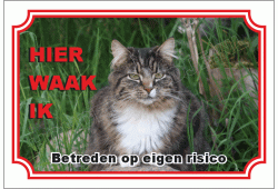 Noorse Boskat