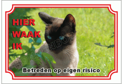 Siamees