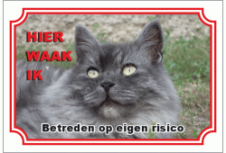 Siberische kat