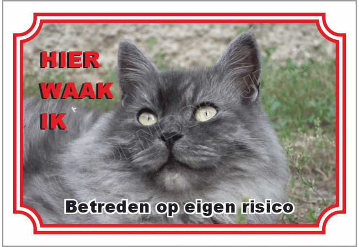 Siberische kat