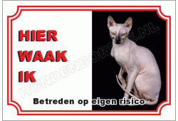 Sphynx