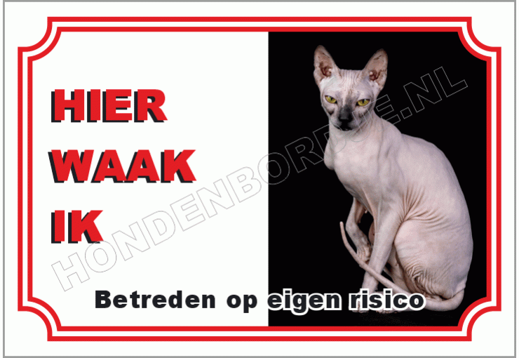 Sphynx