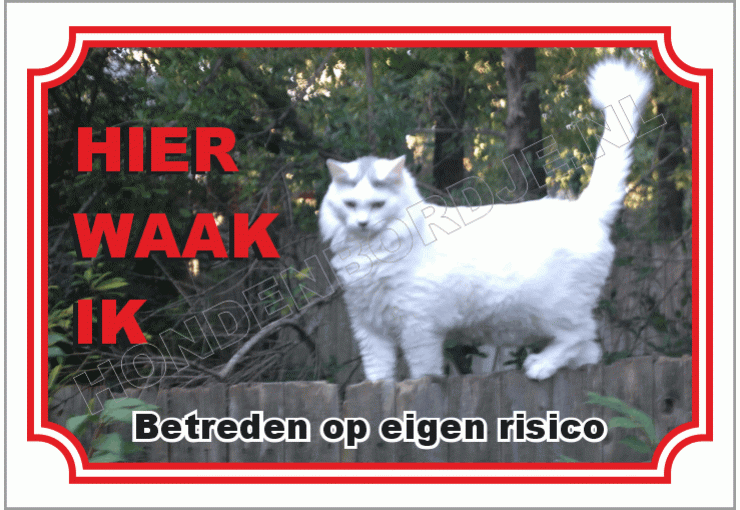 Turkse Van