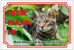 Bengaal