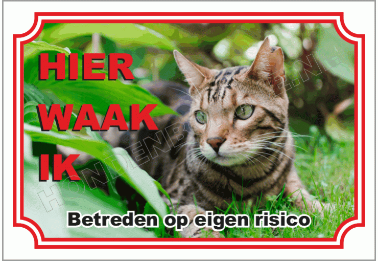 Bengaal