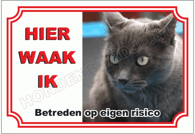 Blauwe rus