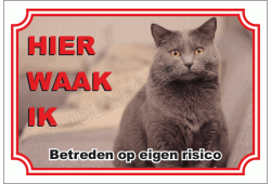 Chartreux