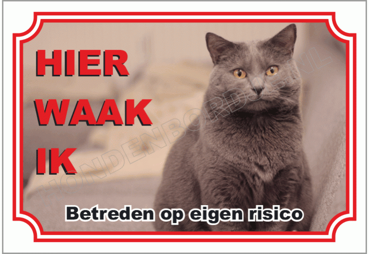 Chartreux
