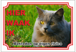 Chartreux