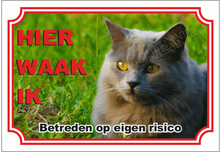 Chartreux