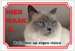 Heilige birmaan