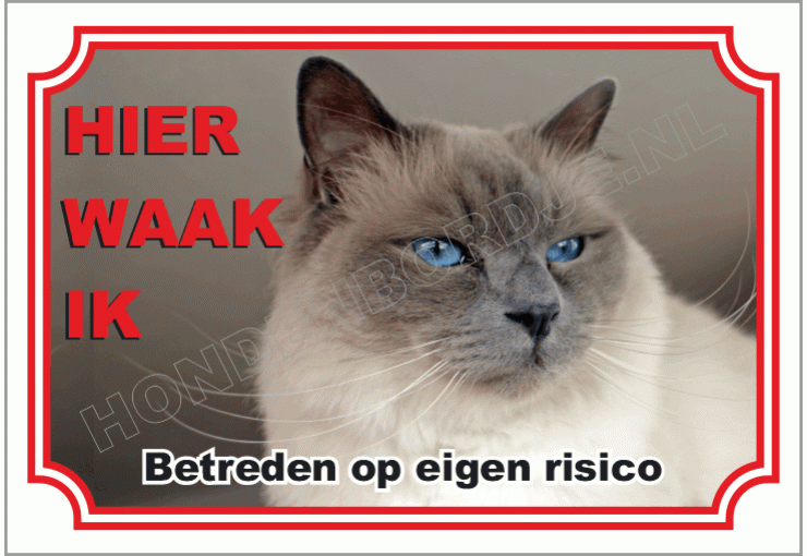 Heilige birmaan