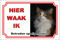 Noorse boskat