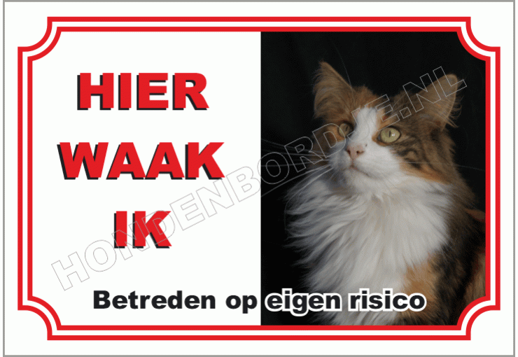 Noorse boskat