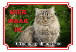 Siberische kat