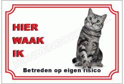 Egytisch Mau