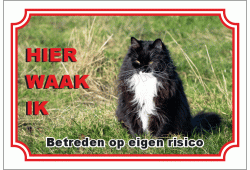 Noorse boskat