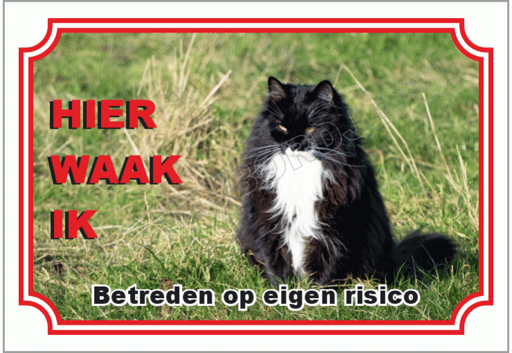 Noorse boskat