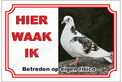 Zwart wit duif