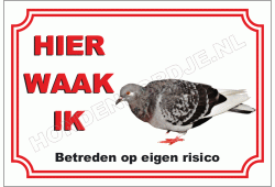Grijze post duif
