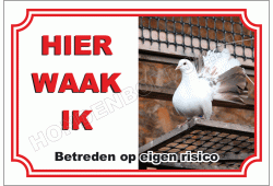 Witte sier duif